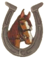 SSC horseshoe logo