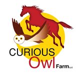 COwl Logo